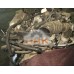 Двигатель на Seat 1.8